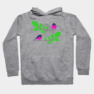 Pink robins on a tree branch Hoodie